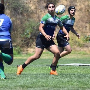 Meet your Posher, Harold